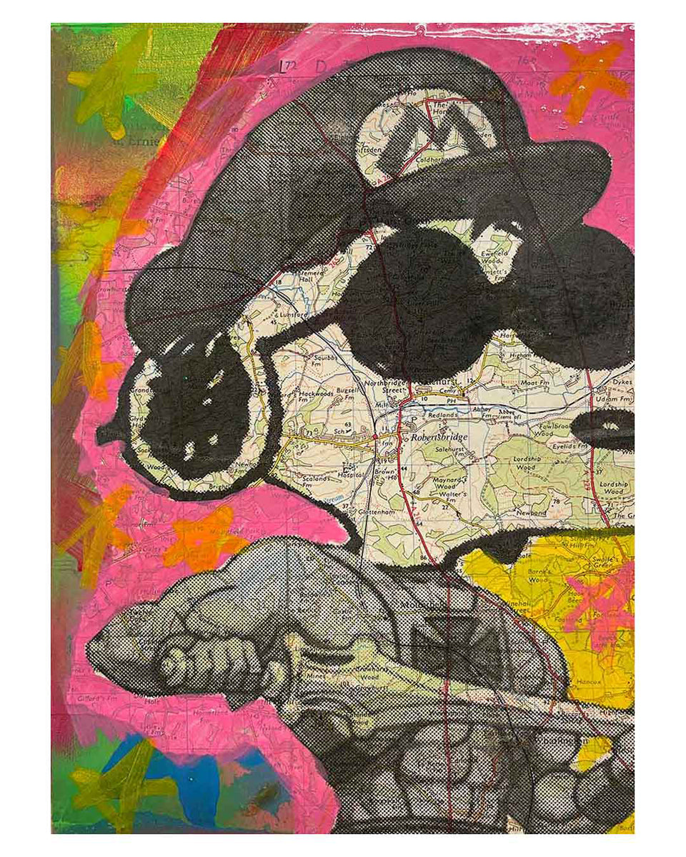 The Dude Map painting – BARRIE J DAVIES