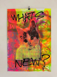 Whats New Kitschy Cat Print, unframed Silkscreen print on paper (hand finished) edition of 1/1 - A2 size 42cm x 59.4cm. Buy online with free delivery worldwide